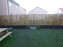 Allotment /Veg patch  thread 4 "Lettuce and Peppers and Pears OH MY!"