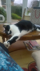 Come and rejoice with me as FatCat is no more...