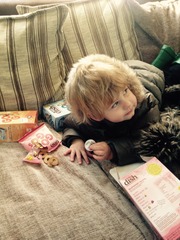 Little Dish Go Gos feedback thread – see what testers think of the latest snacks for LO’s NOW CLOSED