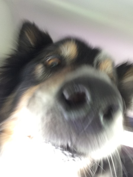 Photos that make you laugh