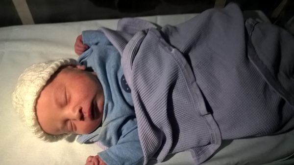 Feb 2016 Babies: The One Where the Babies Start Arriving!