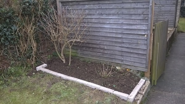 Colour for garden but clueless - please help me! (pics included)