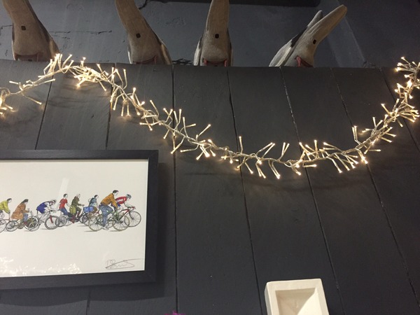 Does anyone know what these string lights are called so I know what to search for?
