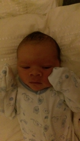 Feb 2016 Babies: The One Where the Babies Start Arriving!