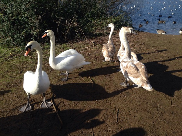 D'ya ever wonder if you could still do the twist and not actually wet yourself in the process?