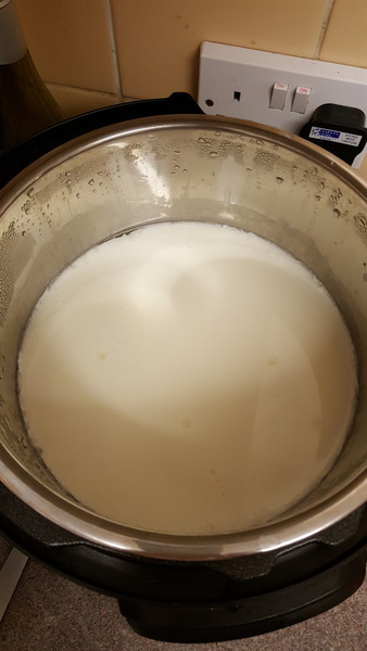 To tell you all about my Instant Pot electric pressure cooker?