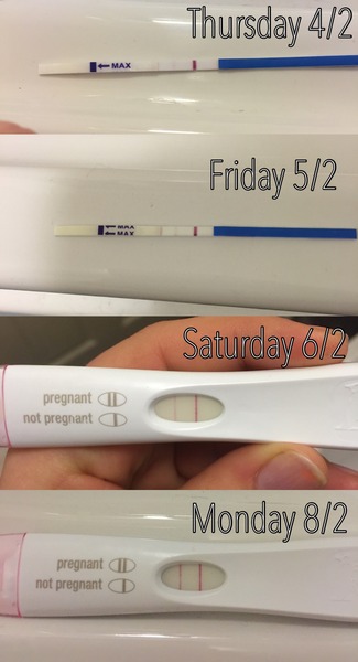 Staying posifrickentive - Thread 7 for ladies pregnant after mc