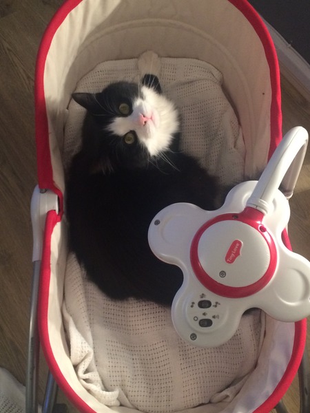 thread #2 - TTC#1 Grads, sick bags at the ready!