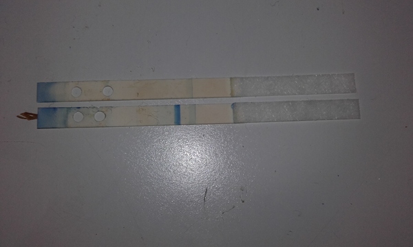 Has anyone had a false negative from a Clearblue Digital?