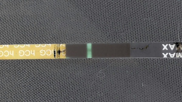 There's Chickens up Trees and BOGOF Deals from the Stork! We're Seeking out the Magic Potion whilst avoiding the Rogue Penis - Don't Flash your Cat, it's JS 57!