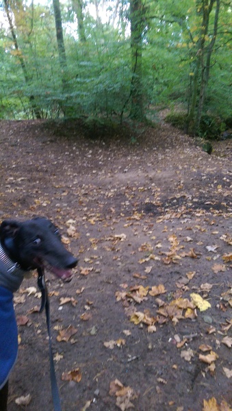 Photos that make you laugh