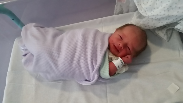 Feb 2016 Babies: The One Where the Babies Start Arriving!