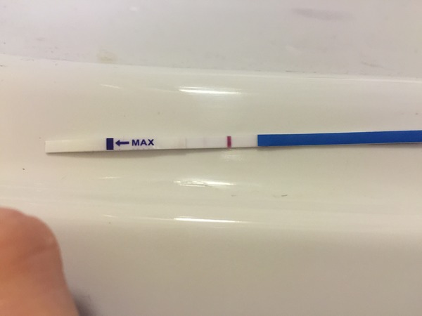 TTC after miscarriage - new thread