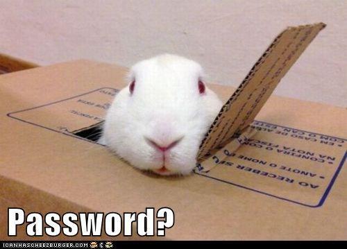 To be totally and utterly sick to the back teeth of passwords