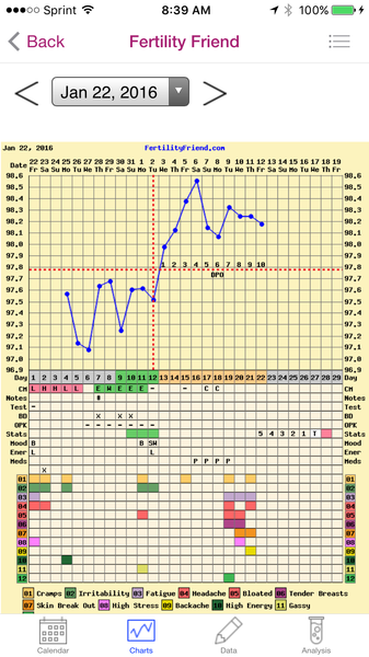 Any temping experts fancy having a look at my chart?