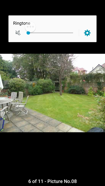 Smallish garden but big ambitions...where do I start??