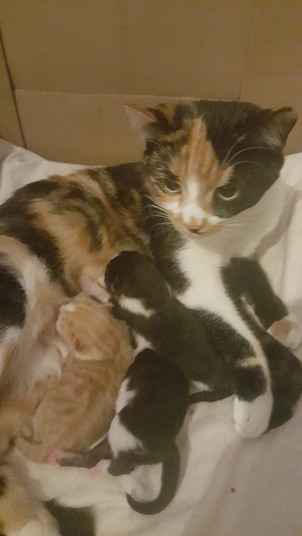 Staying posifrickentive- Thread 8 for ladies after mc