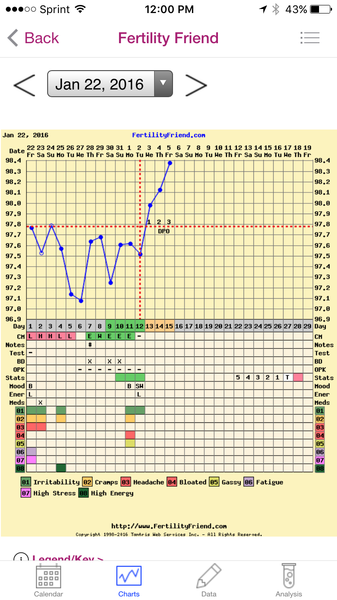 Any temping experts fancy having a look at my chart?