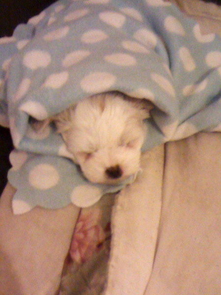 A name for our little girl?