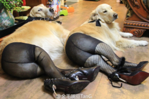 Tried the pants tights trick today...