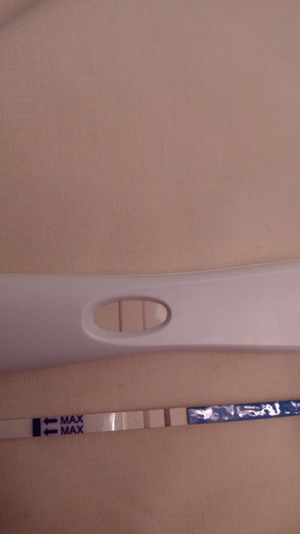 The one where we all get and stay diffed, and we're brooking no argument about it