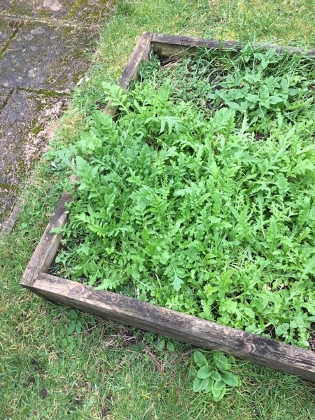 Can someone please identify this?