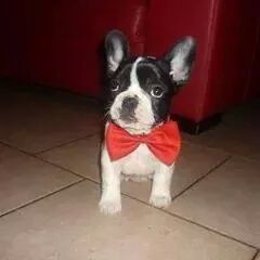 Buzley