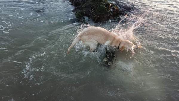 Photos that make you laugh