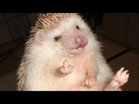 Swagger Inn Thread 123 - There's Whiskey in The Jar-o, so make mine a stiff one Mother S.  And a whiskey while you're about it <winks>