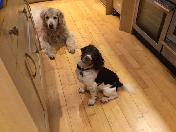 Photos that make you laugh