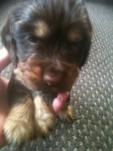 September 2014 - Babies turn 1!