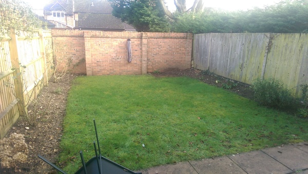 What can we do with this garden? (Photo included, I hope!)