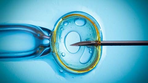 How to Choose an IVF clinic