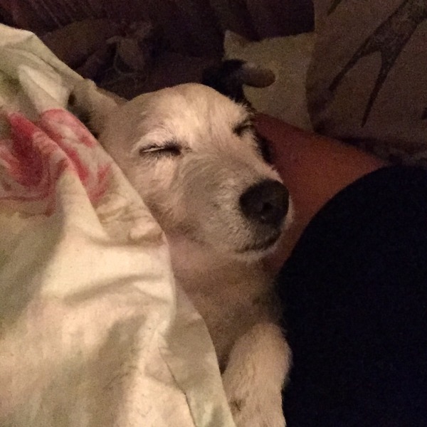 Photos that make you laugh