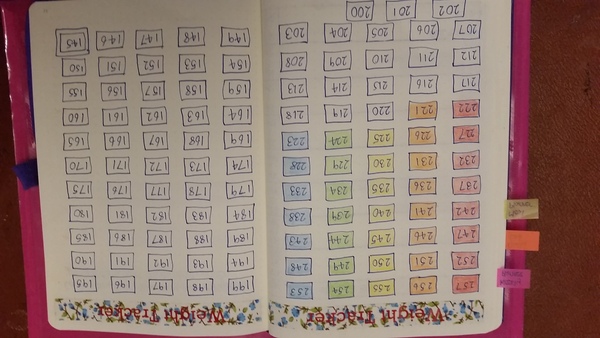 Bullet Journal