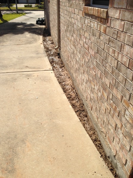 What can I do with this pointless strip of garden?