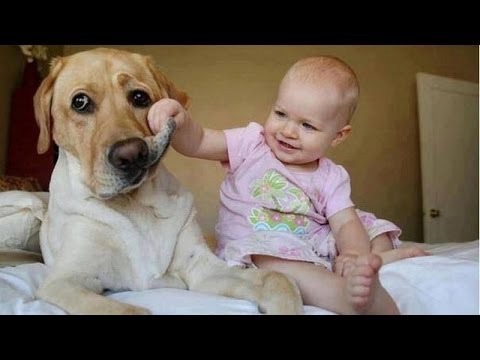 Our dog bit me :(