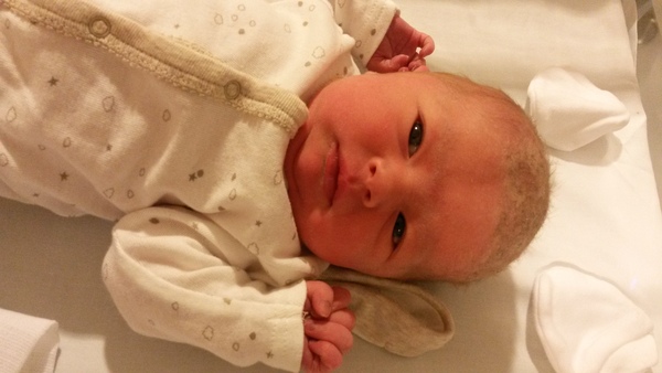 Feb 2016 Babies: The One Where the Babies Start Arriving!