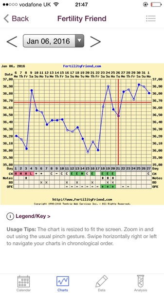 Any temping experts fancy having a look at my chart?