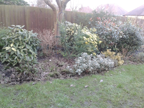 What would you do with this border?