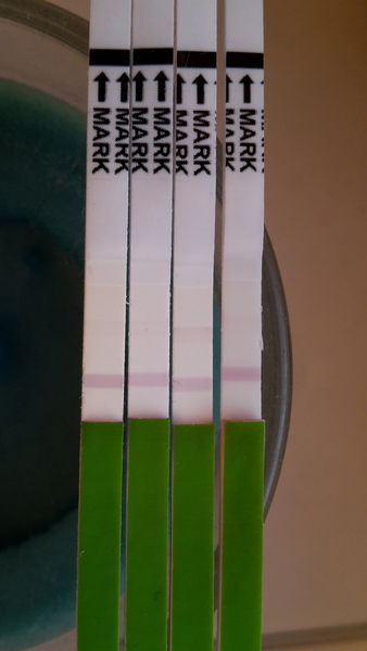 You are not a robot and the ovary whisperer's chanting for you in the viroid commune with our carved cock relics- don't panic about the acid foof! It's JS 58!!!