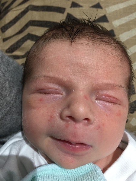 February 2016 - our babies are here!