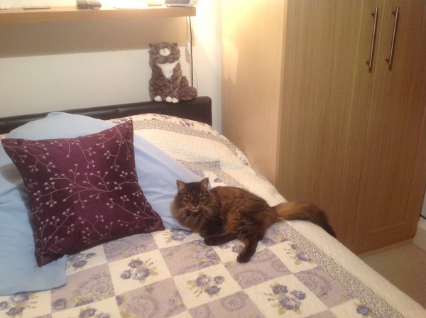 To categorically refuse to allow the cat in the bedrooms