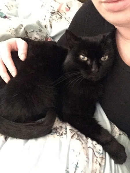 Adoration