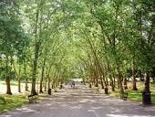 Greenways Consultation Feb-March 13