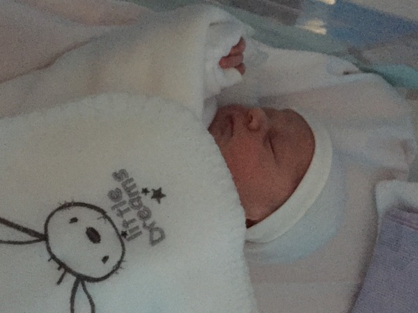 Feb 2016 Babies: The One Where the Babies Start Arriving!