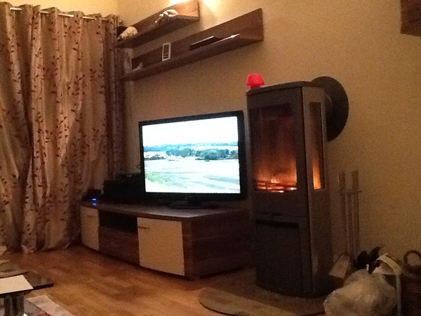 freestanding log burner