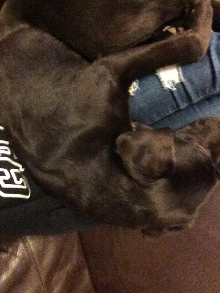 November 2016. Hoping for sticky ones!!!