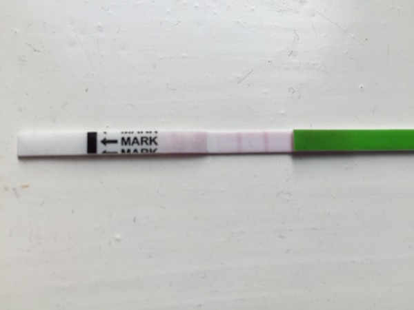 March BFP bus!