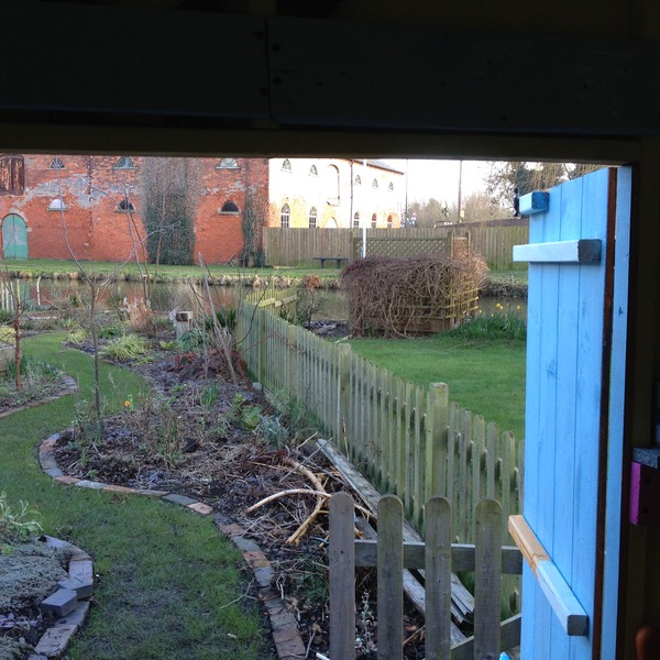 Allotment /Veg patch  thread 4 "Lettuce and Peppers and Pears OH MY!"